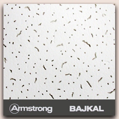   Armstrong BAJKAL Board